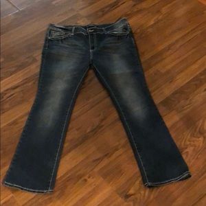 Blue Savvy Stretch Jeans